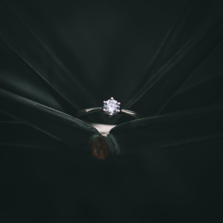 Movement closeup